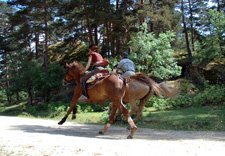 Spain-Central Spain-El Cid Arlanza Valley Ride